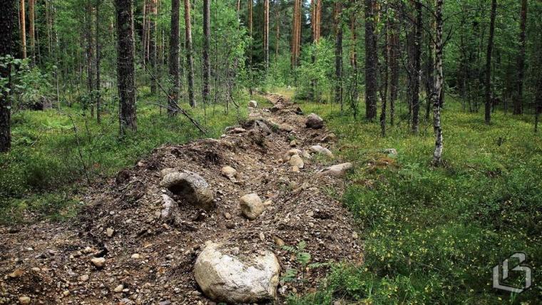 В Ленобласти рекомендовано подготовиться к пожароопасному сезону