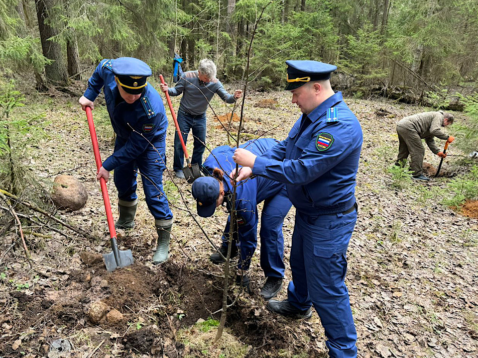 Патриотизм – не слова, а дела