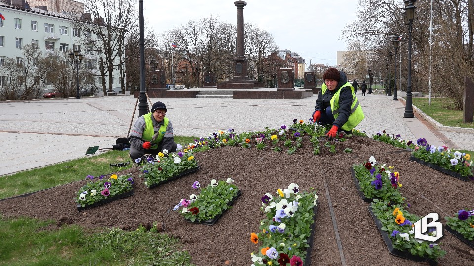 Первые цветы к празднику