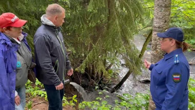 Выборгская прокуратура докопалась до причин загрязнения реки Верхняя