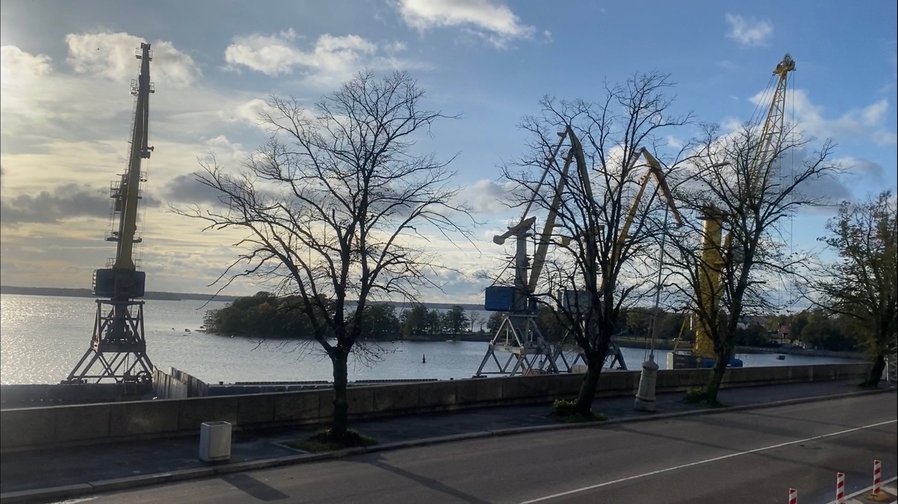 Быть или не быть новым деревьям на Южном Валу