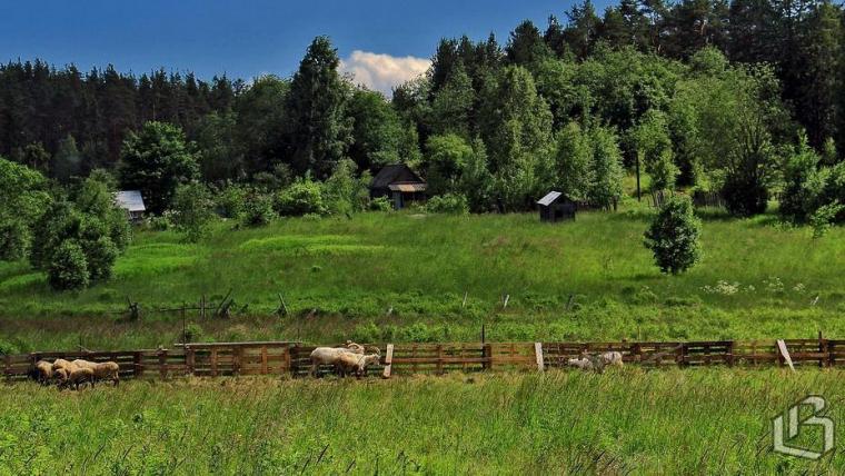 Фермерские гостевые дома помогут развитию агротуризма