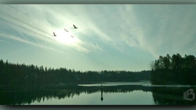 Финляндия возобновила судоходство на Сайменском канале