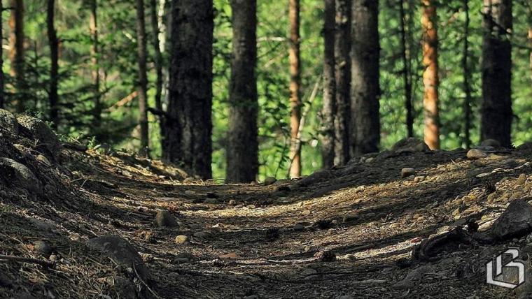 Экотропы предпочитают люди с высоким уровнем образования