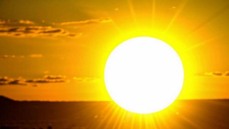 Финляндию тревожат жара и колорадские жуки