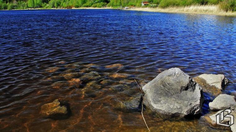 В Финляндии положительно оценили сотрудничество с Россией во время весеннего паводка