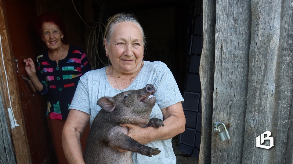 Как создать цветущий рай своими руками