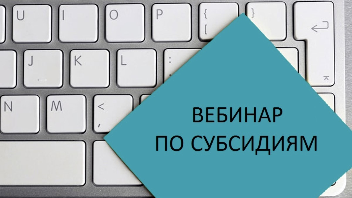 В помощь предпринимателям 47 региона 