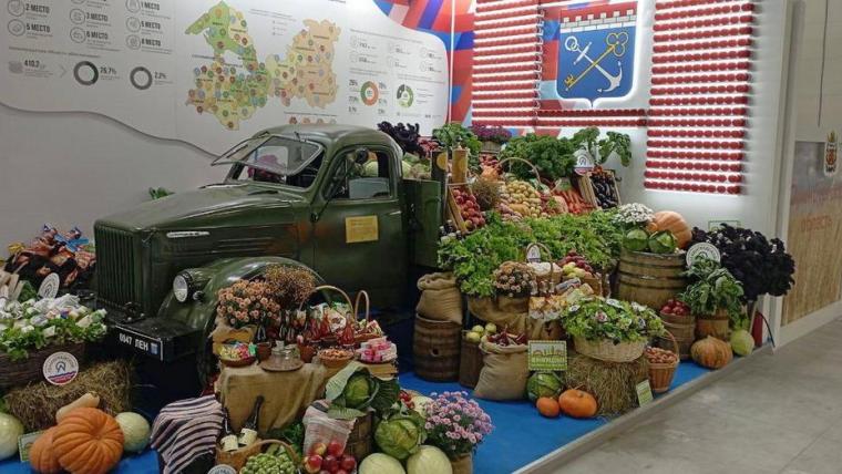 Михаил Мишустин оценил экспозицию Ленобласти на выставке «Золотая осень» в Москве