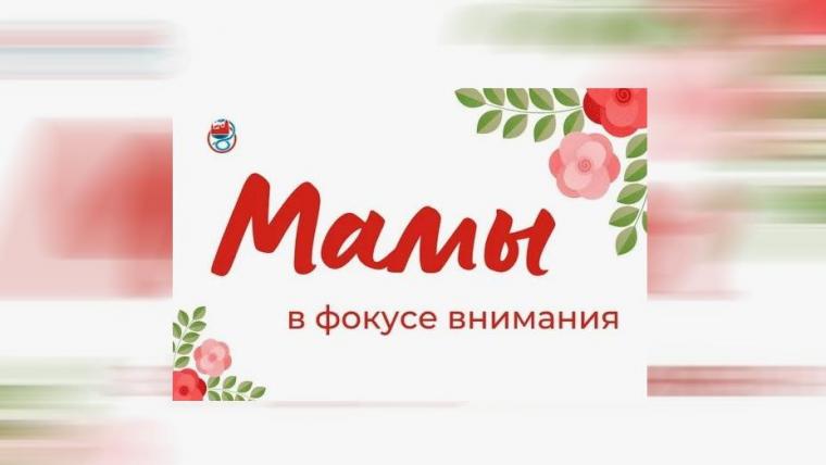 Мамы Ленобласти вновь в фокусе внимания