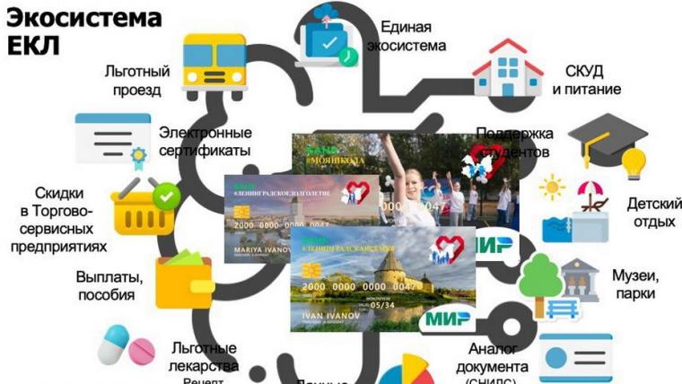 Единая карта ленинградца стартует со школ