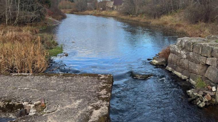 Река Селезневка готова к осеннему паводку, но плотины вскоре будут демонтированы