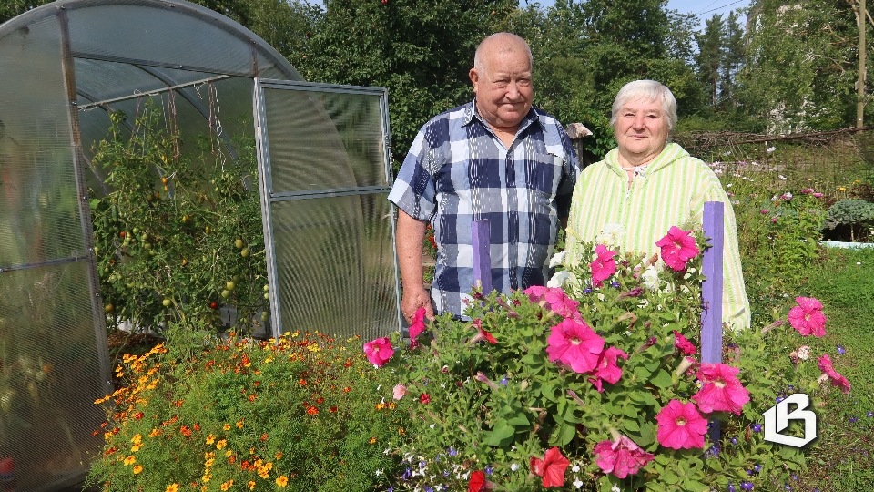 Семиозерье – цветущий край!