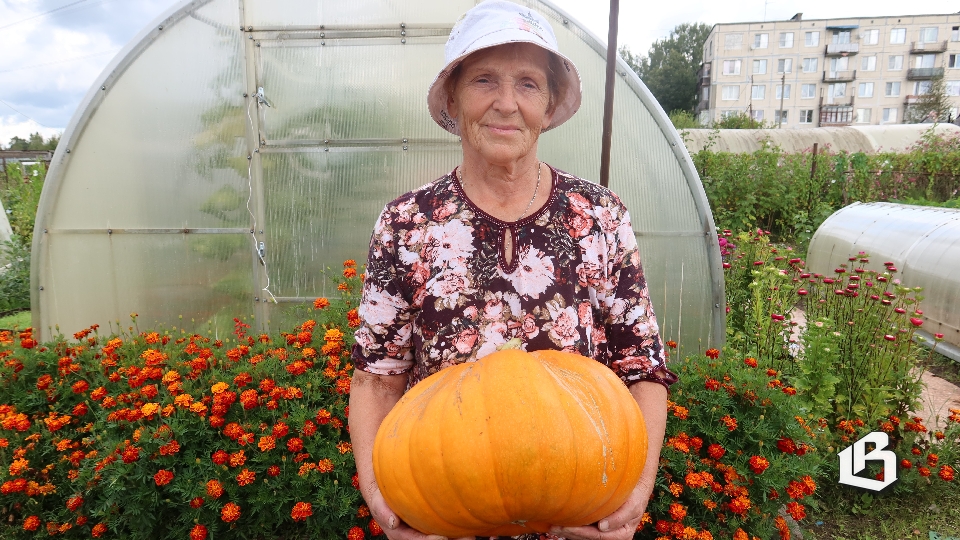 Как мы ездили в Первомайское