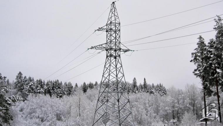 Звонок на прямую линию из Вещево становится программой по ликвидации сухостоя