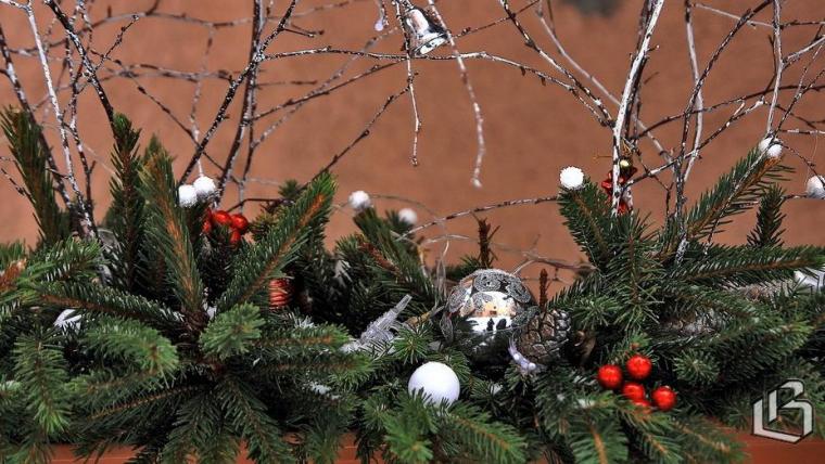 Витрины Выборга и района создадут новогоднее настроение