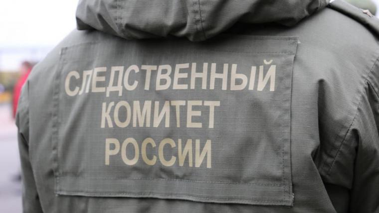 Мать пострадавшего в выборгской школе ребенка добилась возбуждения уголовного дела