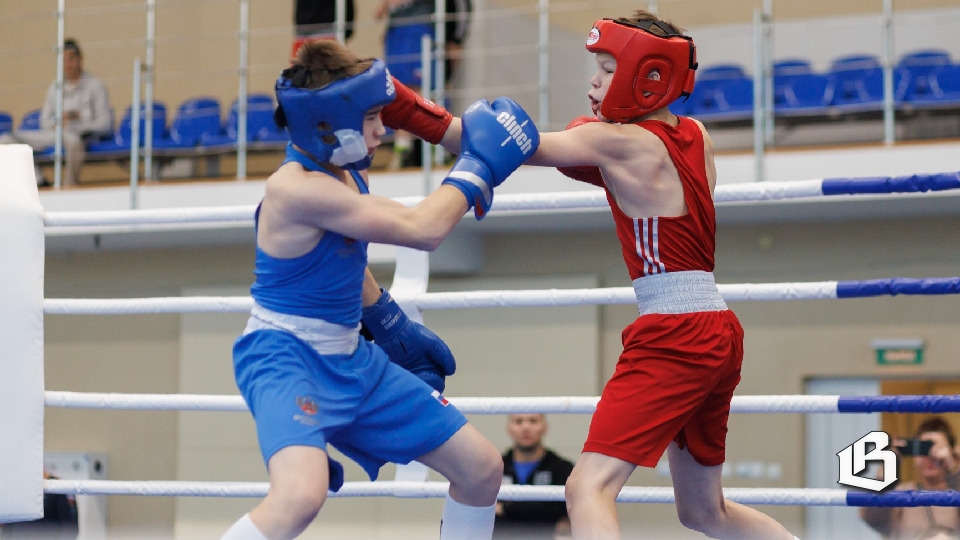 Боксёры из разных регионов России  разыграли награды традиционного турнира