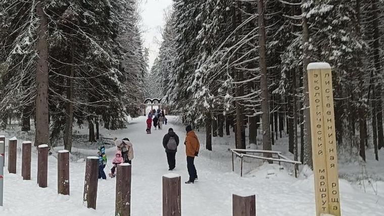 К 2035 году в Ленобласти создадут 94 ООПТ