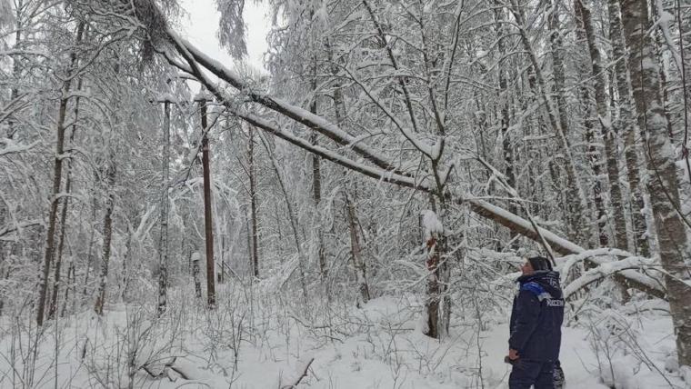 В пятницу в правительстве Ленобласти будут обсуждать веерные отключения в СНТ