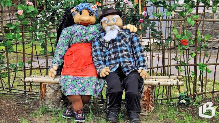 В Выборгском районе можно получить 19 соцуслуг по программе «Заботливый сосед» 