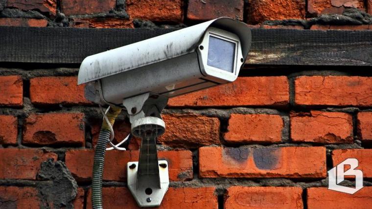 В Ленобласти прорабатывают вопрос отслеживания «бездомышей» по камерам