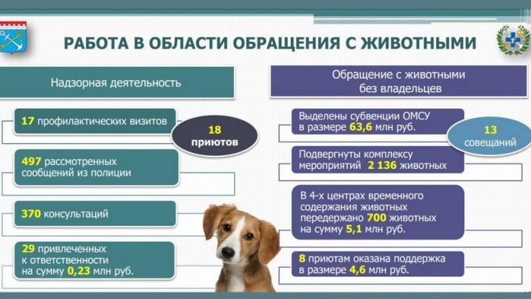 В Ленобласти обратили внимание на недостаток приютов и их финансирование