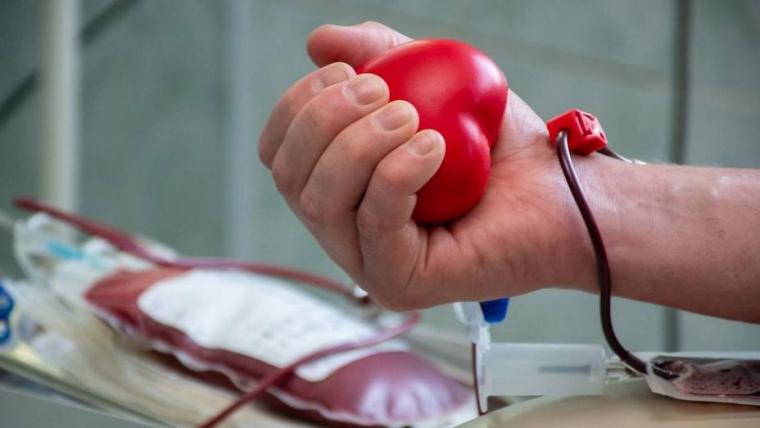 В Ленобласти почетные доноры смогут протезировать зубы бесплатно