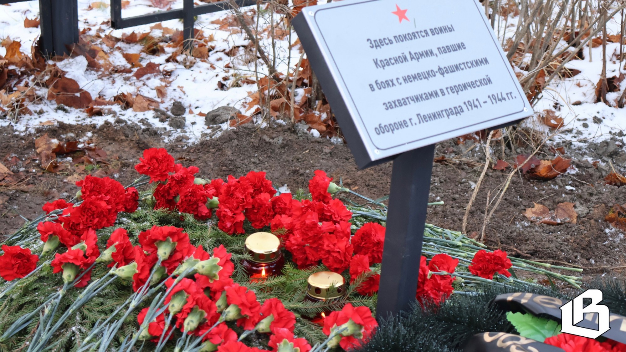 15 марта впервые в Ленобласти отмечался День поисковика