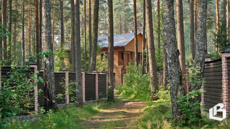 Загородная недвижимость в Ленобласти растет в цене