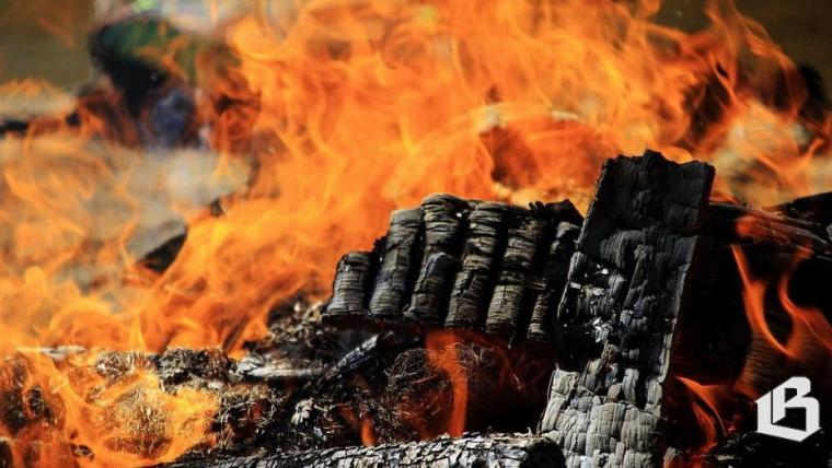 Дачникам напомнили об опасности разведения костров на участках