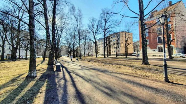 В Выборге стартовал второй этап преображения Садового сквера 