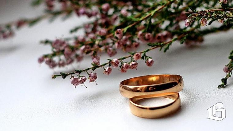 Красивые церемонии бракосочетания будут проводить по всей Ленобласти