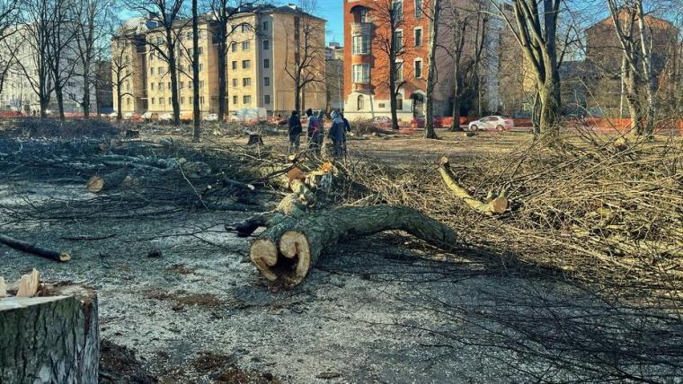 В Выборге сквер рубят, соцсети шумят, а власть разъясняет