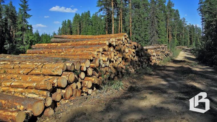 Дело выборгских полицейских-мздоимцев дошло до суда