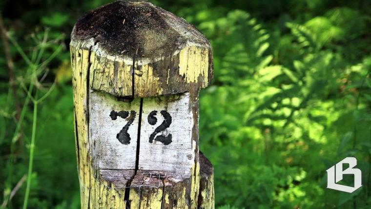 С сегодняшнего дня в Ленобласти объявлено о начале пожароопасного сезона