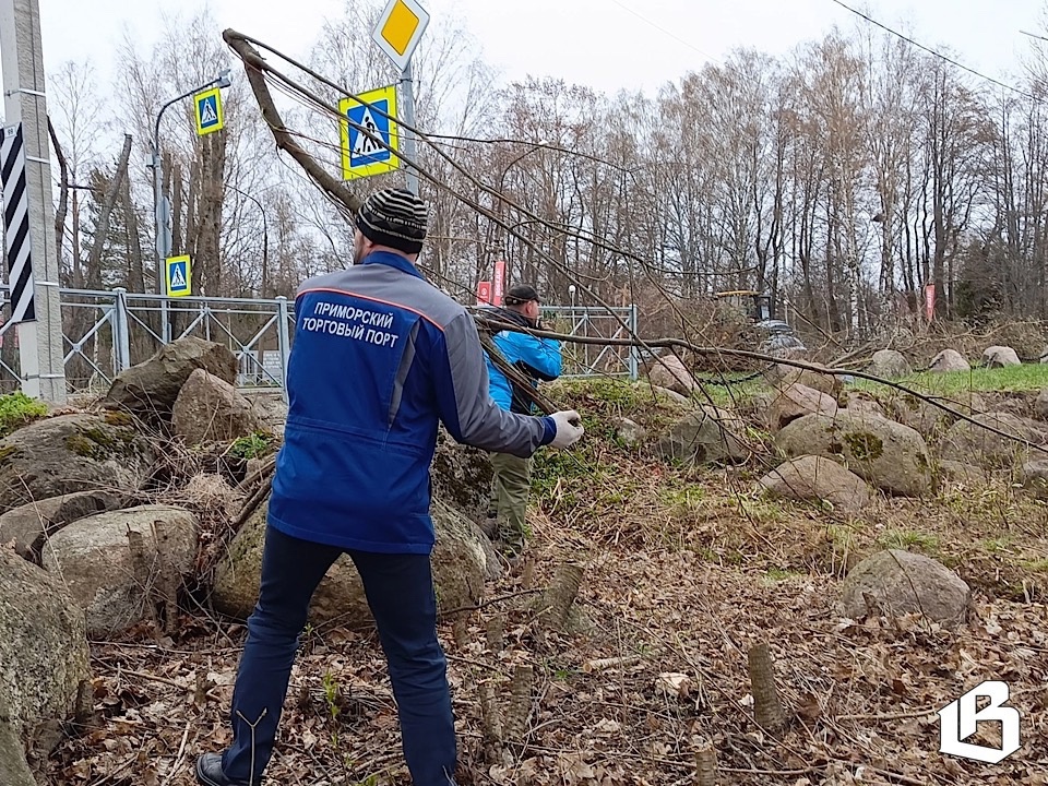 Поработали на славу! Всероссийский весенний субботник