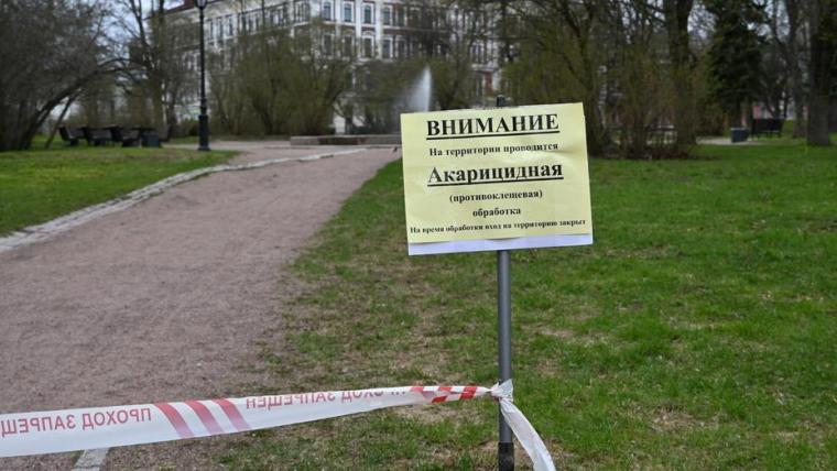 Парки, мемориалы и зеленые зоны Выборга обрабатывают от клещей