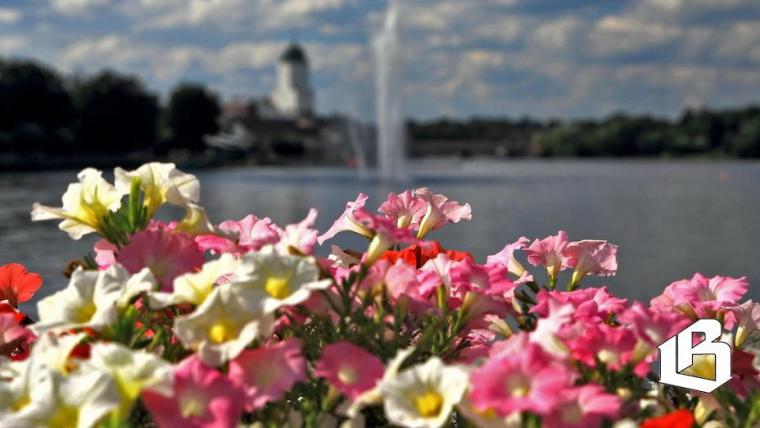 Выборг собирается расширять туристические направления