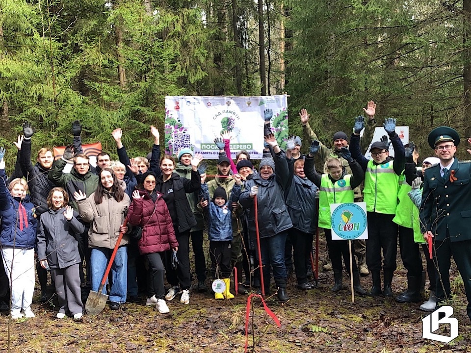Выборгский «Сад памяти» сегодня пополнился новыми саженцами