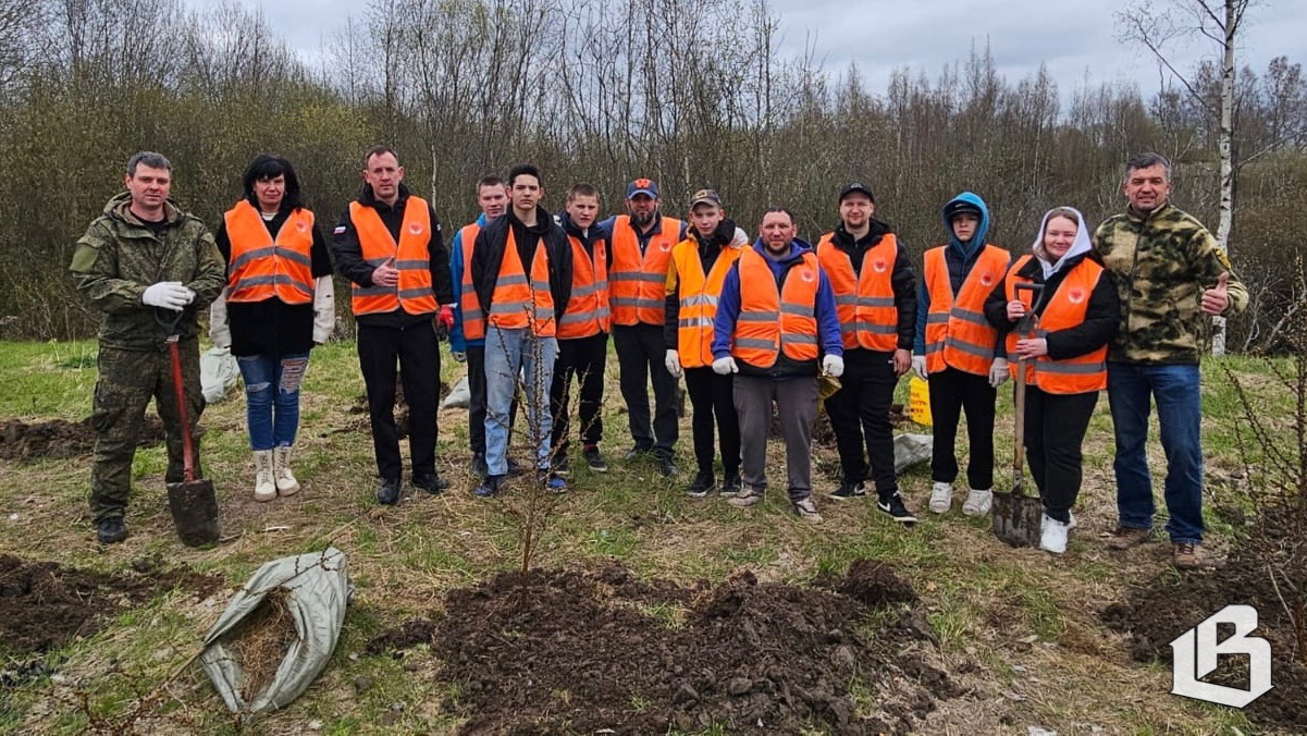«Сад памяти» Выборгского района пополнился ещё полутора десятками высаженных растений