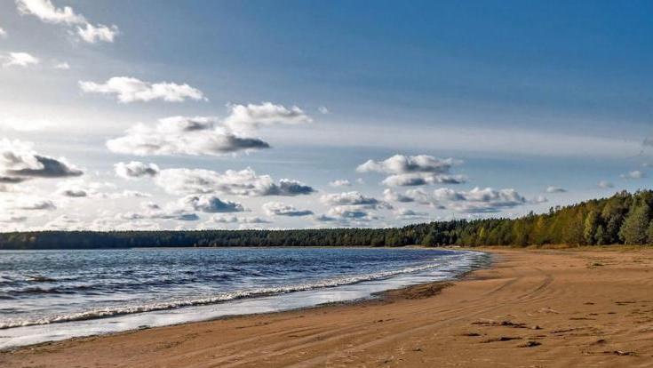 Природоохранная прокуратура обратила внимание на выборгские памятники природы