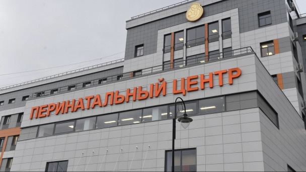 Депутаты Ленобласти – за обеспечение беременных временным жильём в Гатчине