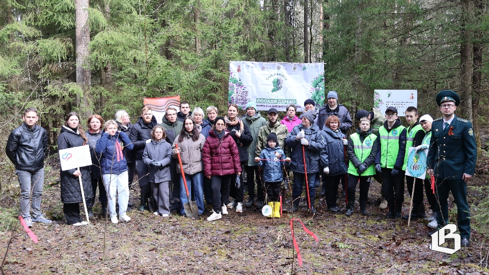 Дерево как символ продолжения жизни