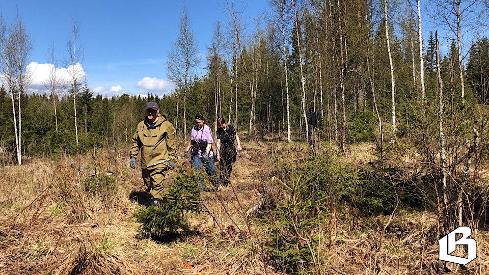 Выборгский район принял участие во Всероссийской акции «День посадки леса»
