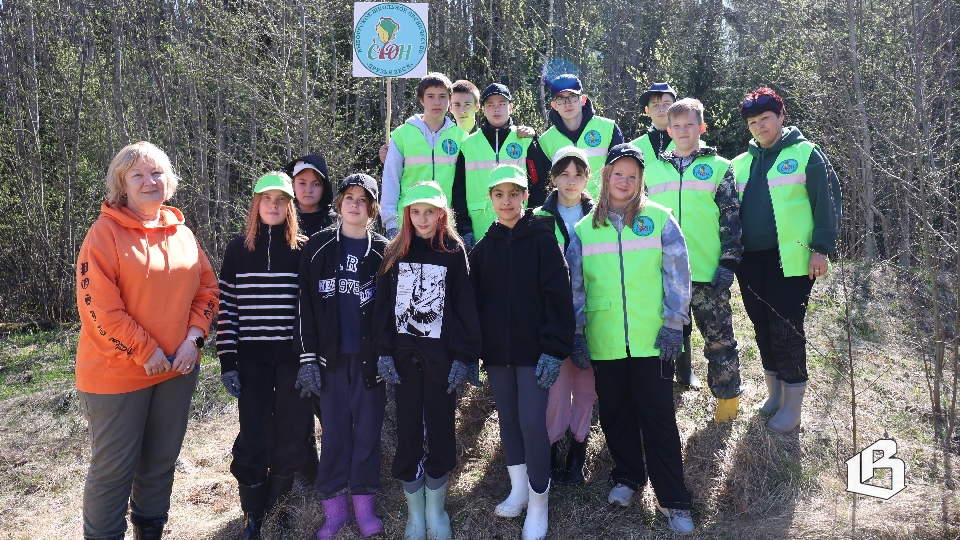 Полторы тысячи молодых сеянцев ели посадили экоактивисты 