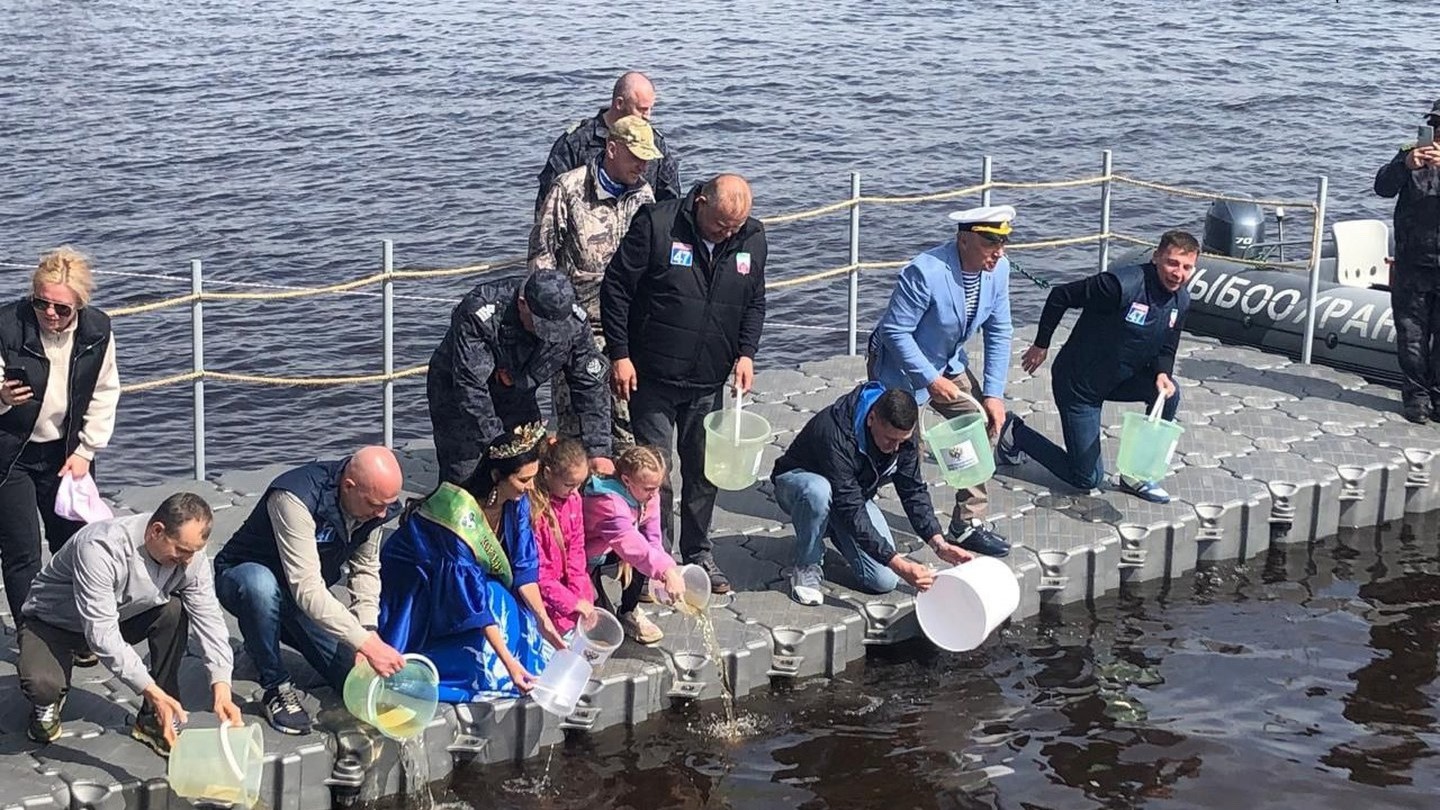 На гастрономическом фесте, посвященном корюшке, побывало 10 тысяч гостей