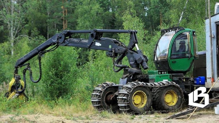 В Ленобласти усиливают контроль за работниками лесной промышленности