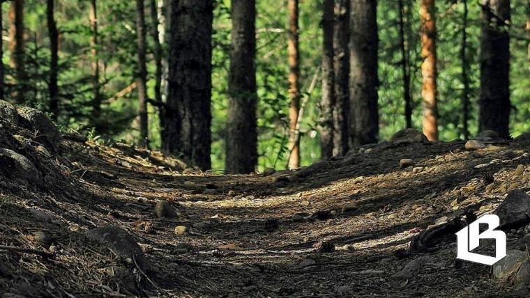 Туристические тропы хотят объединить в единый реестр