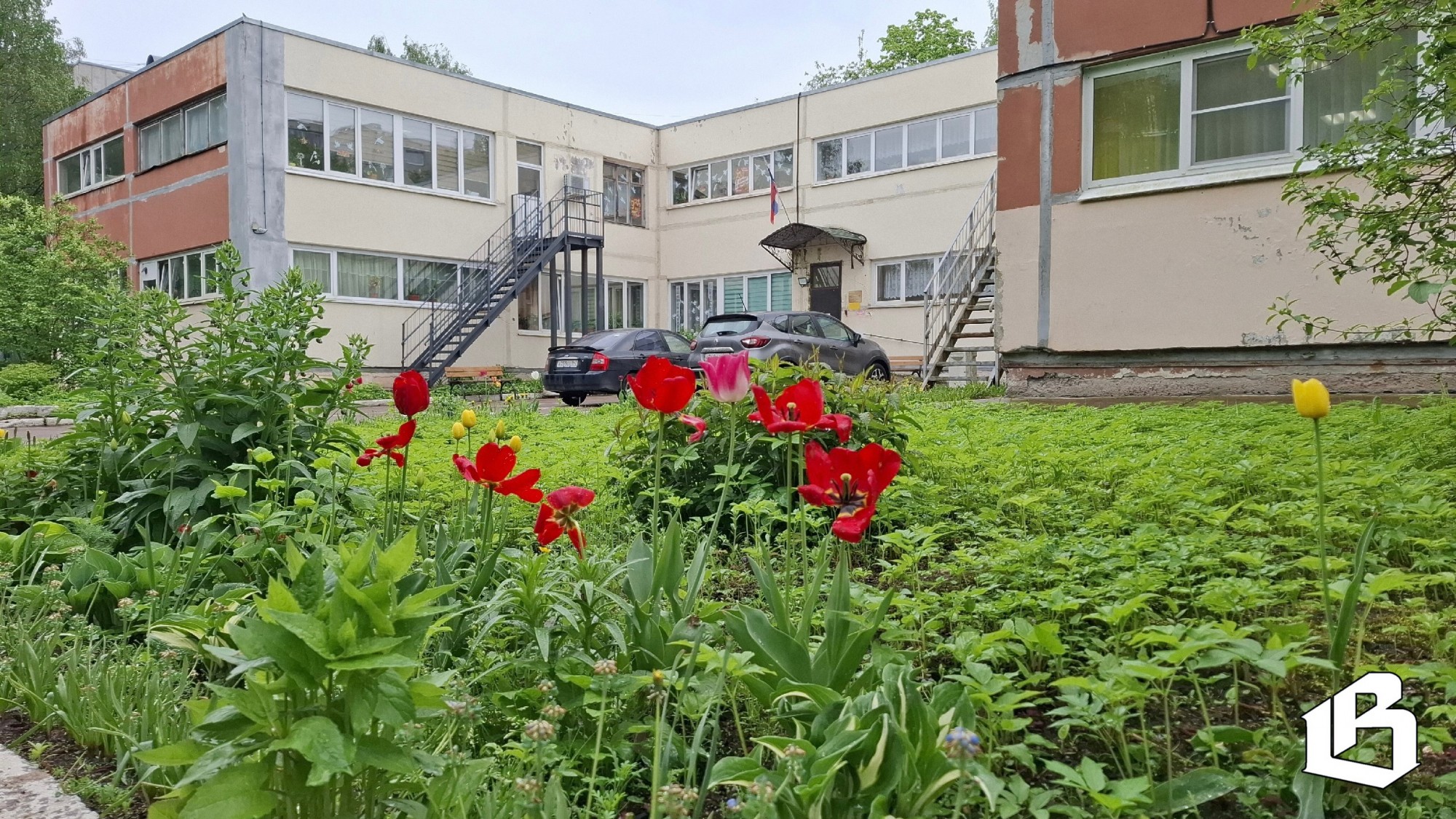 выборгский комплексный центр социального обслуживания населения 